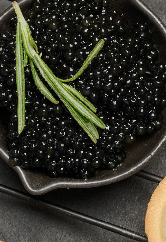 Caviar Extract